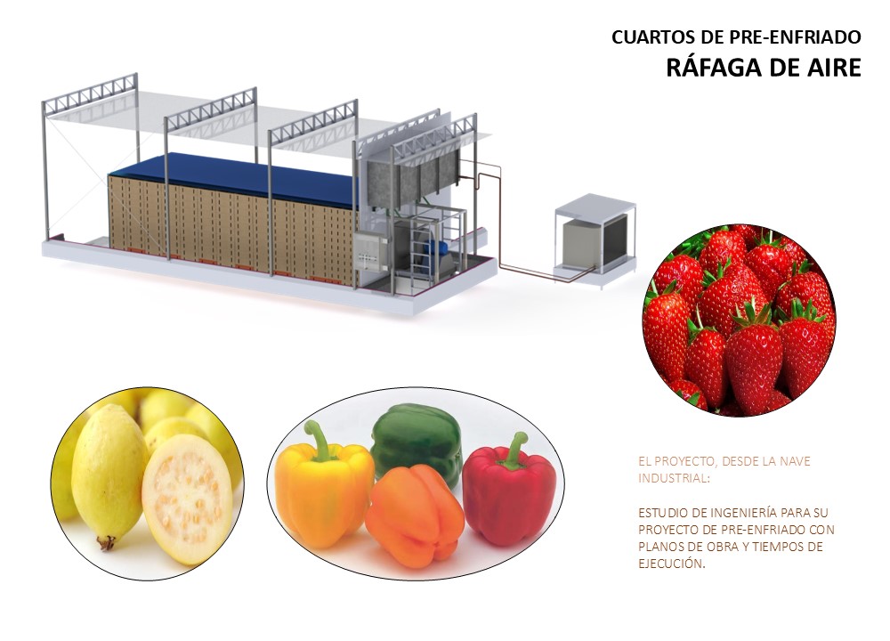Eficiencia energética en cámaras de refrigeración